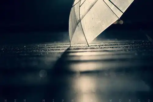 表达心情失落的句子-失落句子表达心情不好