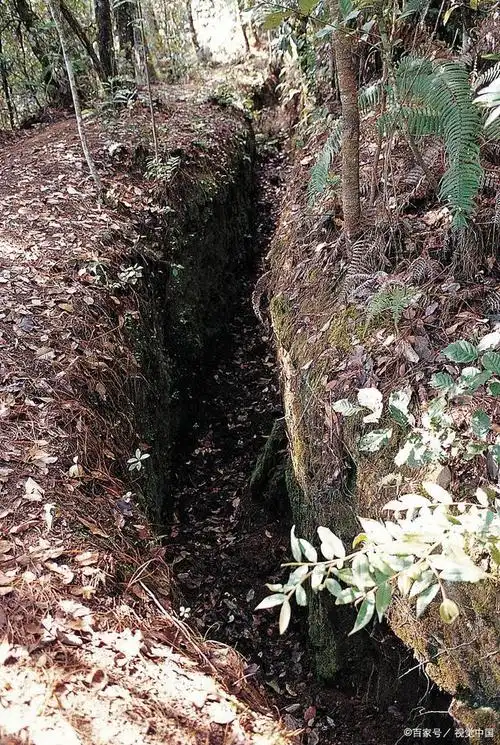 战壕的作用是什么?如何挖出来的?其实这是一个很关键的工事!