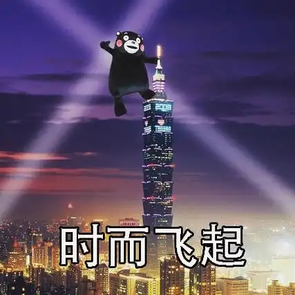 时而起飞熊本熊人生就是起起落落落落落落落落的过程啊熊本熊表情头牌
