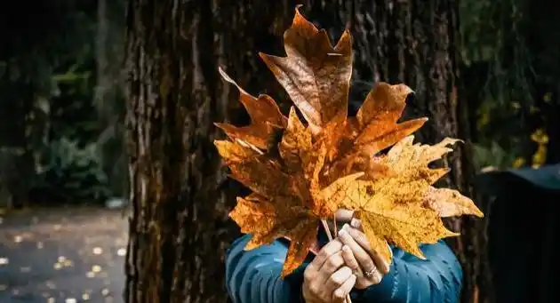 2020年朋友圈说说短句2020年霸气朋友圈句子