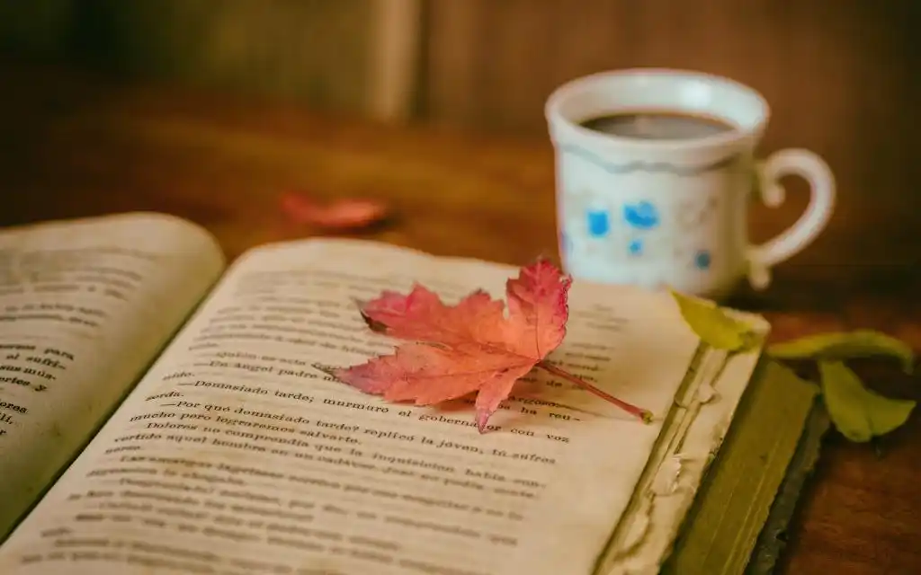 淡淡的书香,高清壁纸,图片,时光记忆-回车桌面