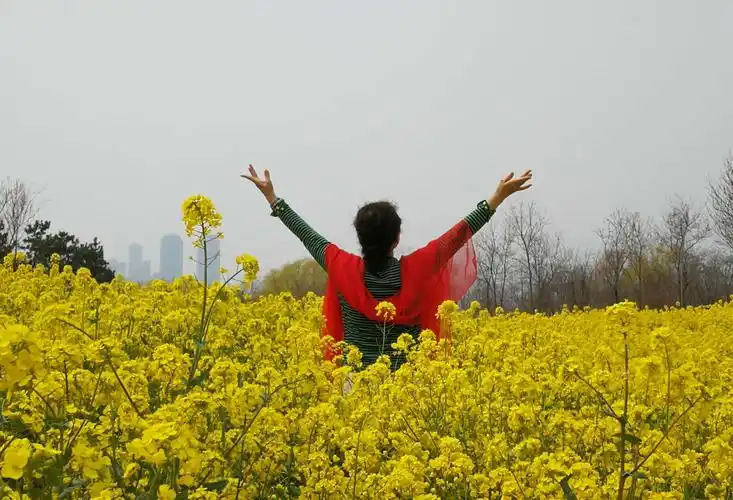 让我们的生活充满阳光,充满快乐!