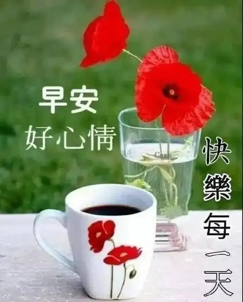 原创夏季朋友圈漂亮早上好慰问动态图片温暖早安问候美图祝福语