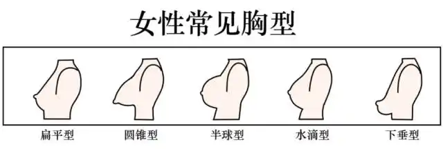 美酱来信|我老公出轨了他公司胸最大的女同事,我是不是也该去做个e杯