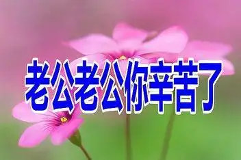 老公老公辛苦了2_百度视频搜索