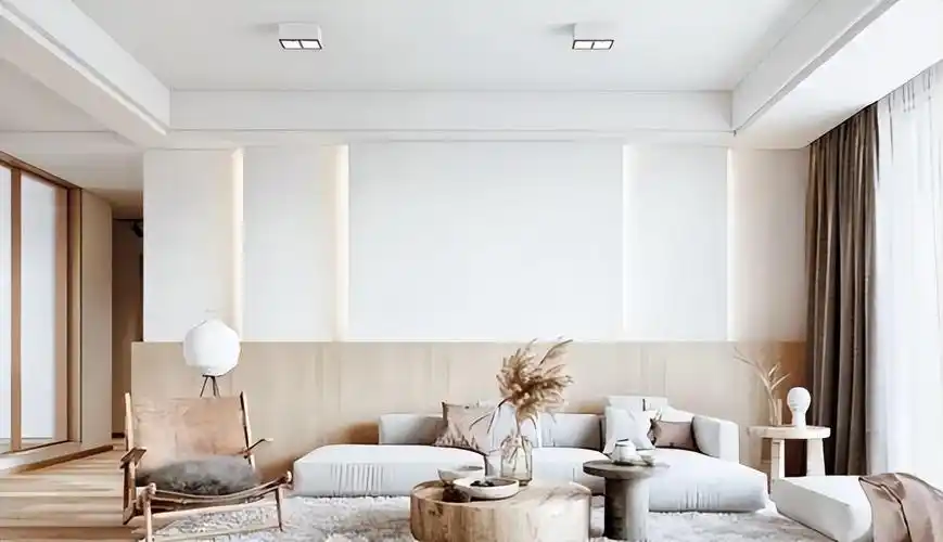 双眼皮吊顶有几种款式图片(客厅双眼皮吊顶装修效果图)-心语百科