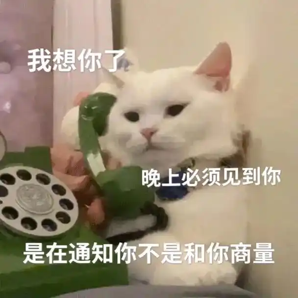 为什么你那么多宝宝 你家里是开幼儿园的吗 #表情包 #猫咪表 - 抖音