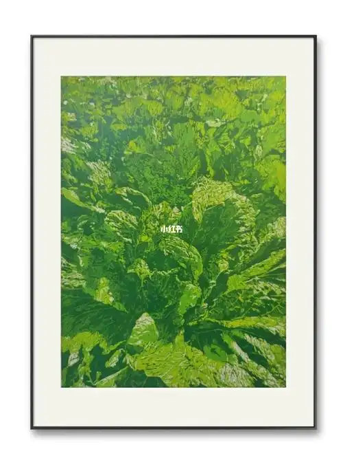 套色木刻  #潮流版画  #来自星星的艺术家  #传统文化  #大白菜