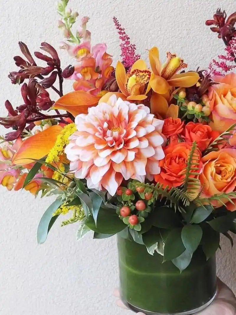 不一样的鲜切花79 | 火龙珠(红豆,相思豆) 科属:金丝桃科,欧金丝桃