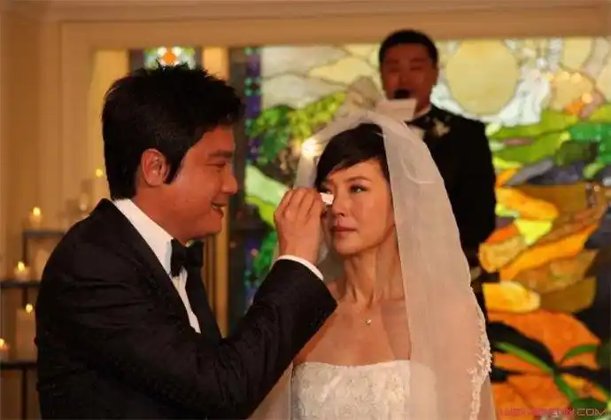 罗嘉良怎么看上苏岩 苏岩资料被揭家庭背景强大显赫