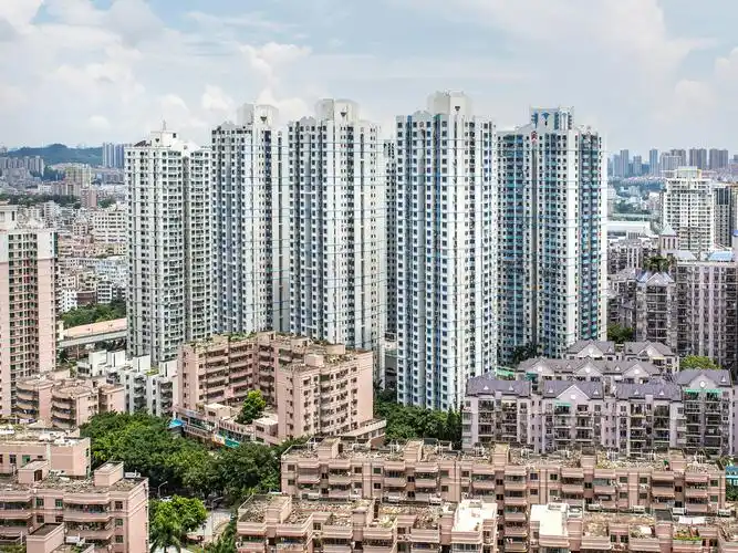 深圳小区 龙岗小区 b 宝安小区 d 大鹏新区小区 f 福田小区 g 光明