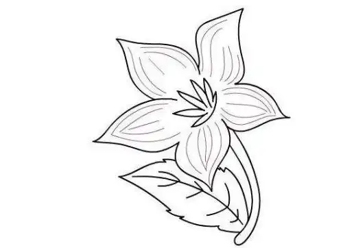 紫茉莉儿童画怎么画简单紫茉莉简笔画步骤