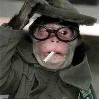 猩猩搞笑头像大全