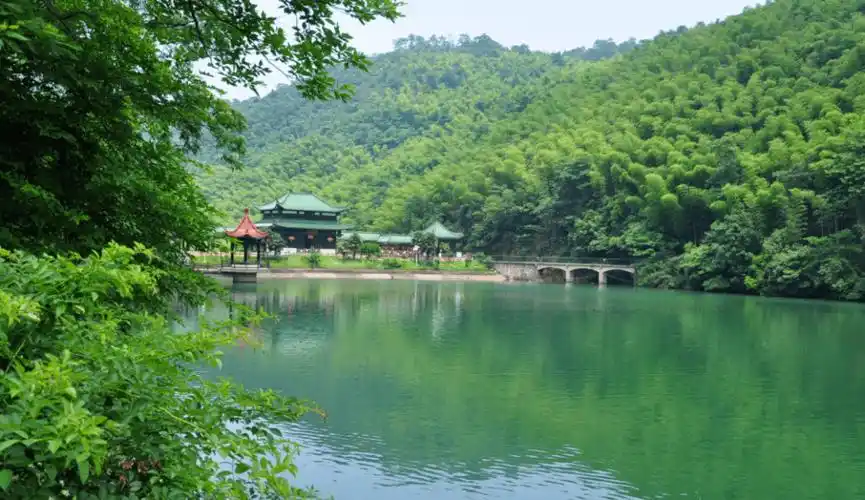 于宜兴竹海,享江南雅韵_风景