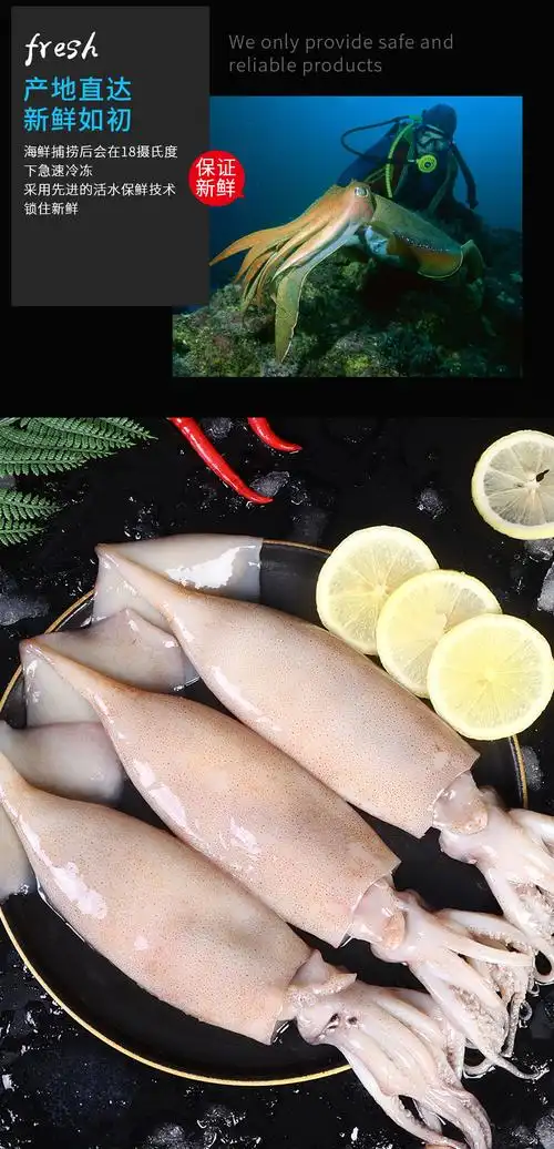 大鱿鱼生鲜整只冷冻新鲜鱿鱼须铁板烧烤商用批发海鲜鲜活水产整只大