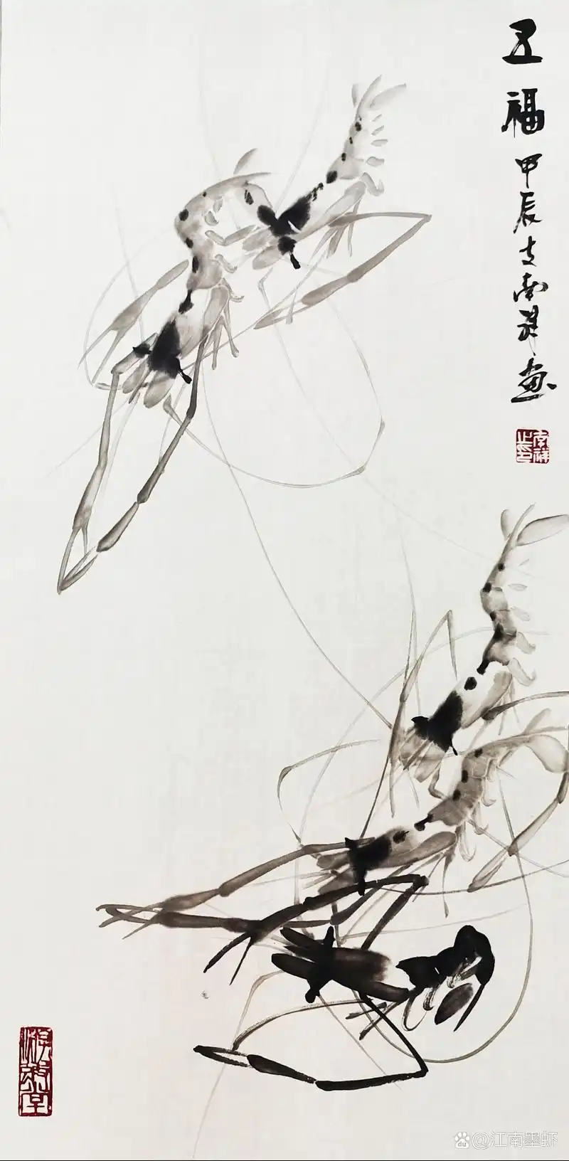 齐白石透明水墨虾画法