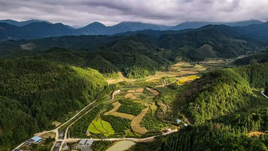 连山壮乡,民大的种子生根发芽——西北民大70华诞广东校友会纪行