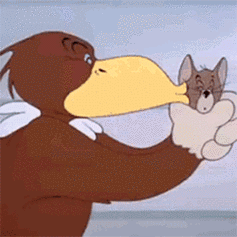 猫和老鼠杰瑞给你个亲亲撩gif动图_动态图_表情包下载_soogif