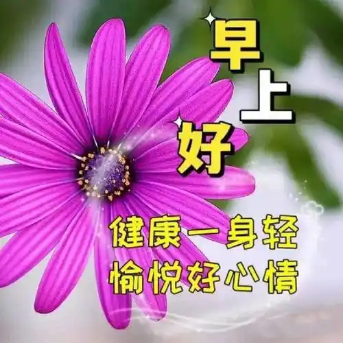 推荐群发早上好表情包暖心图片带字8张,春日温馨的问候祝福语大全