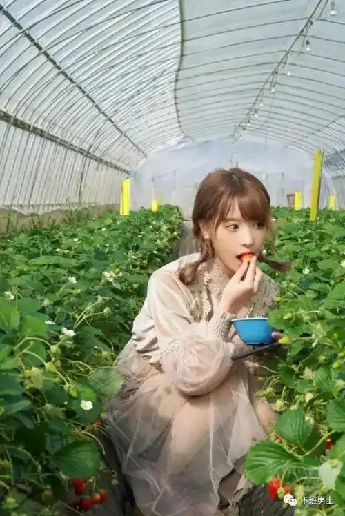 日本女明星桃乃木香奈桃乃木かな资料简介