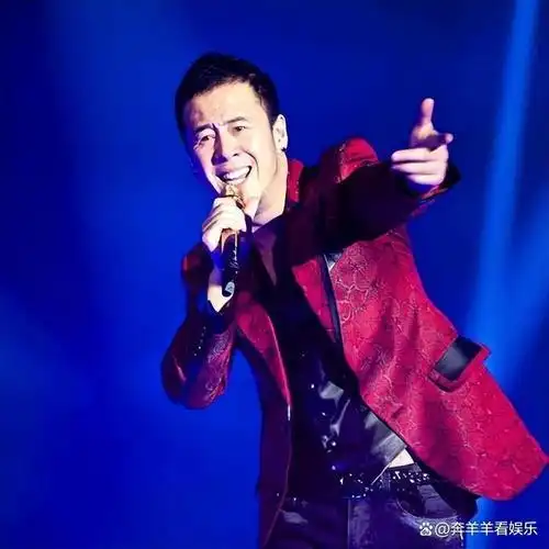 回顾:12位红过的内地男歌手,满江苍老的认不出,林依轮成大赢家