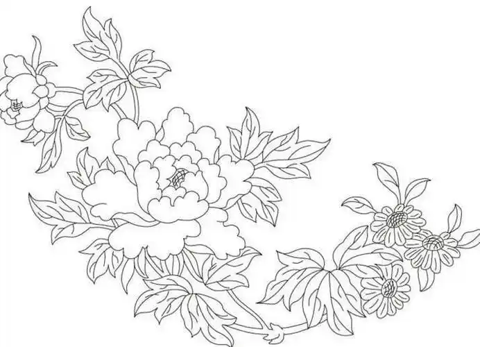 牡丹花一片花瓣简笔画