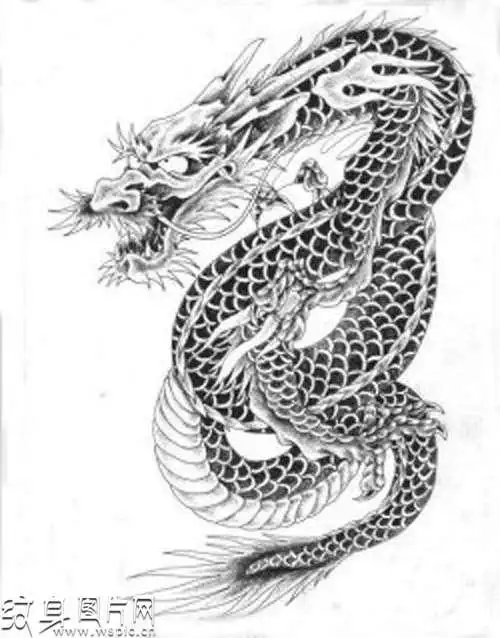经典过肩龙纹身手稿欣赏霸气纹身的顶尖设计