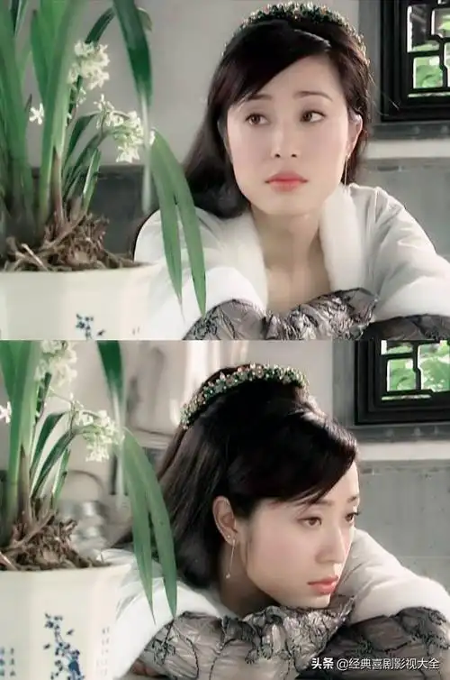 陈法蓉主演的电视剧有哪些(盘点陈法蓉13部经典电视剧)_明日头条