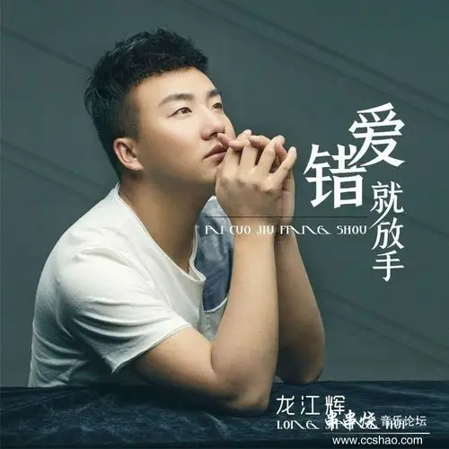 龙江辉-爱错就放手(dj何鹏 remix)无损wav mp3