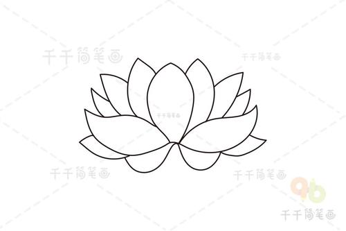 荷花的简笔画图片
