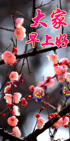 蝴蝶花树枝大家早上好gif动图_动态图_表情包下载_soogif