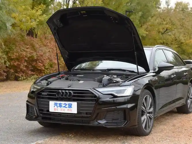 奥迪(进口) 奥迪a6(进口) 2023款 avant 45 tfsi 大探险家版