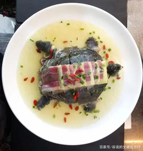 火腿炖甲鱼