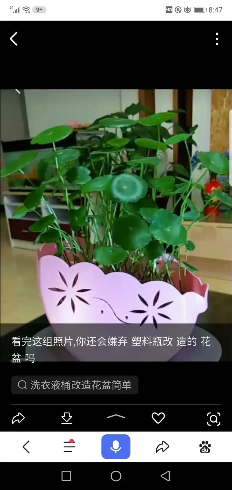 盆吗 洗衣液瓶子做简易花盆 塑料瓶手工制作花盆 8:46 8 - 抖音