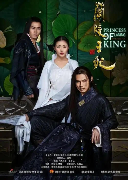 兰陵王妃第24集