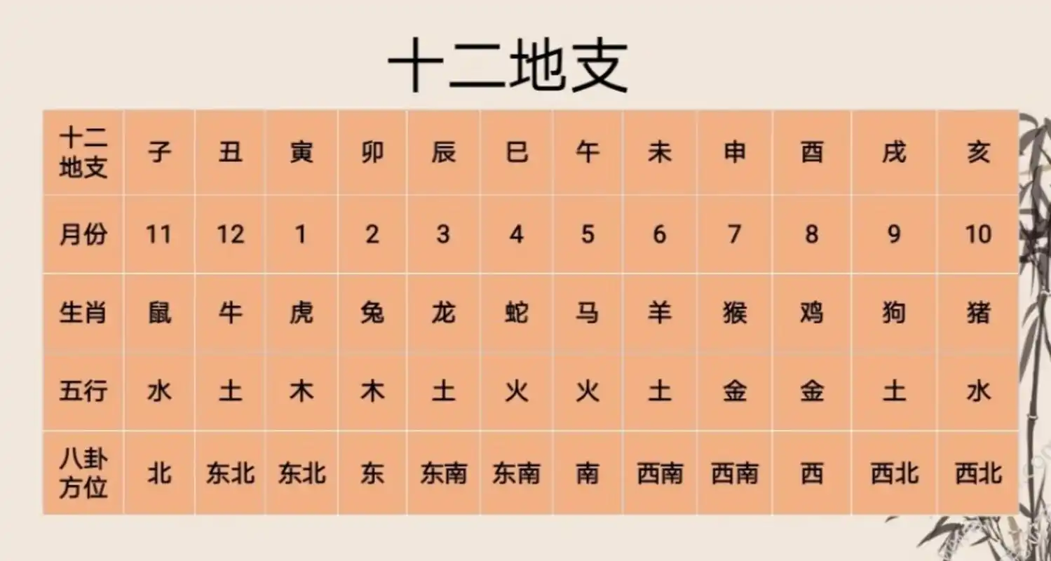 说人话:十天干和十二地支 十天干和十二地支是夏历中用来编排年号和
