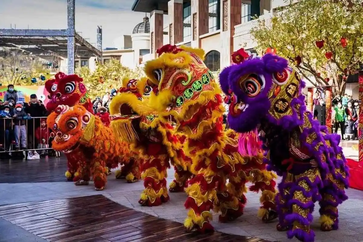 长沙舞狮队151x2333x2322开业舞狮醒狮舞龙梅花桩舞狮乔迁舞狮表演