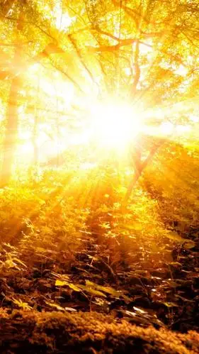 温暖的阳光景色