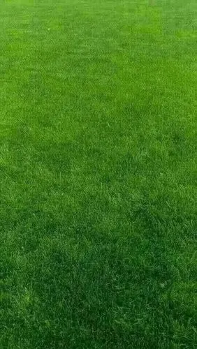 保护眼睛:改变微信聊天背景