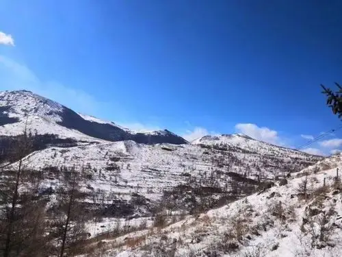 妙峰山,灵山等地却飘起了雪花而在北京的另一头一场春雨悄然降落京城