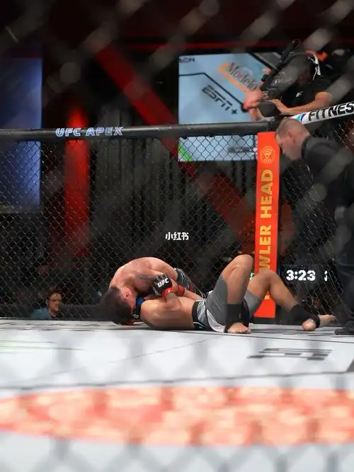 9015贺他93#ufc  #ufc精英训练  #ufc拉斯维加斯  #藏族