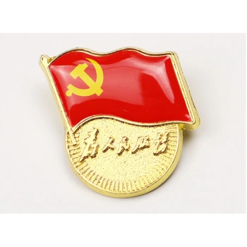 100个标准型党徽中组部为人民服务胸徽别针式大号扣