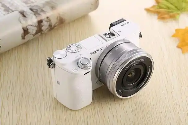 佳能eos600d,600d佳能参数(什么相机最畅销)