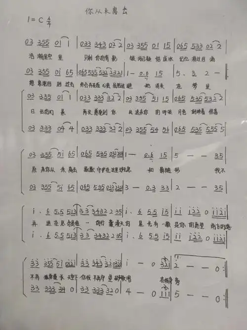 自制合唱谱你从未离去想要可拿谱