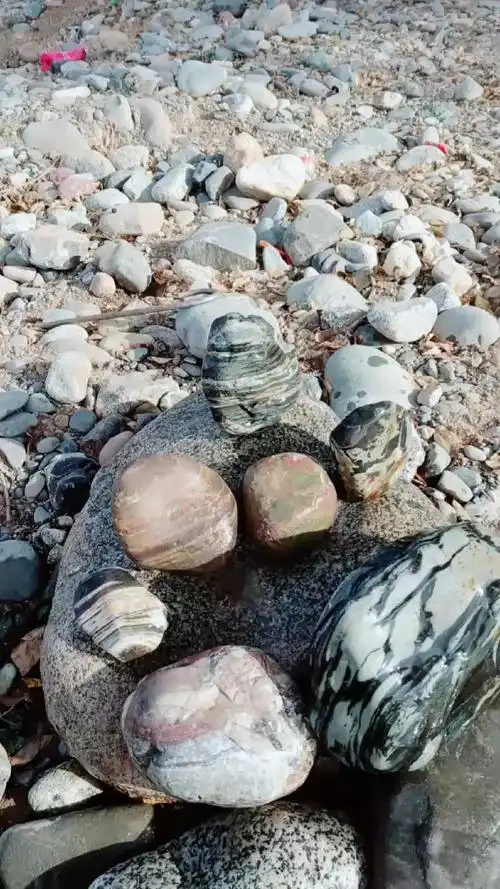 下午又来到河边捡石头.请大家欣赏画面石