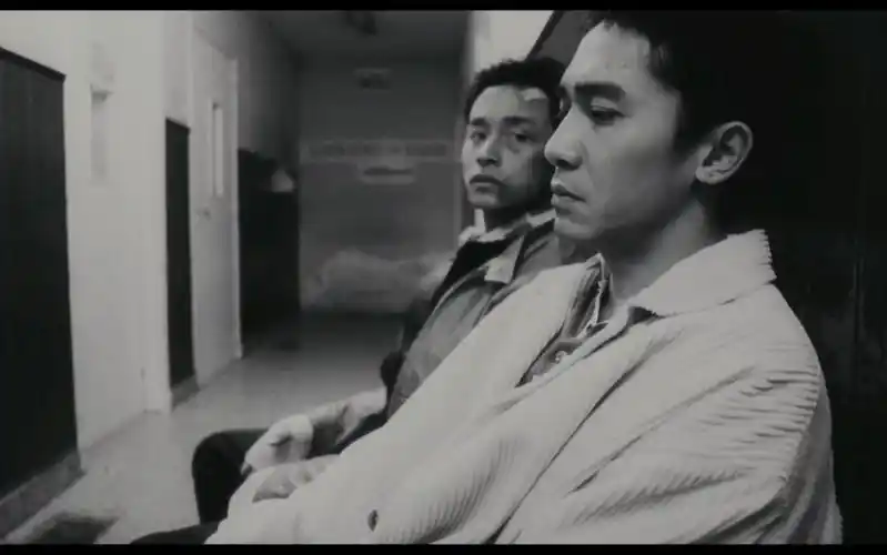 每当他落难时,寂寞时,受伤失落时,他就会回到黎耀辉身边.