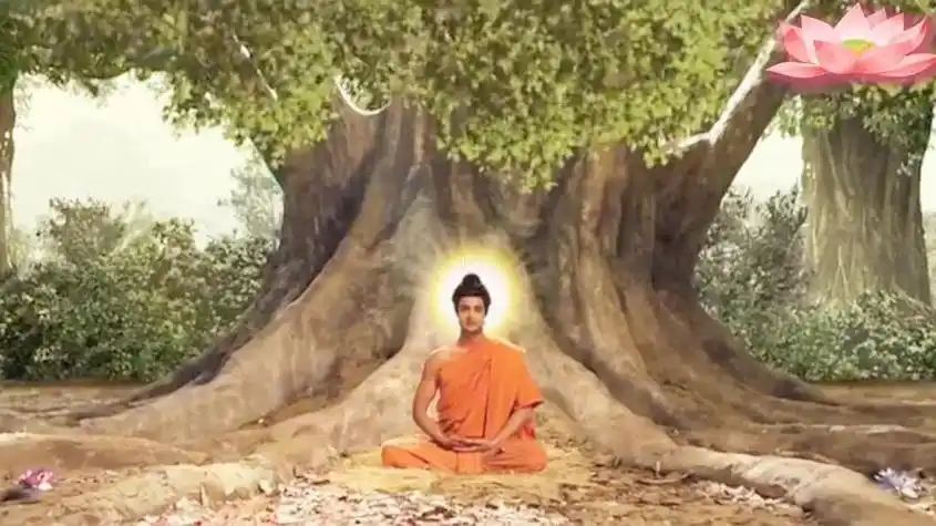 释迦牟尼佛为度众生来到世间,在菩提树下示现成佛之后说的第一段 - 抖