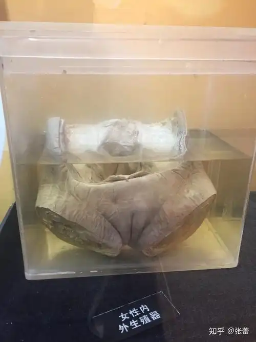 来,和我一起去探索北京自然博物馆 - 知乎