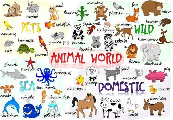 英语 动物主题animals-poster-classroom-posters