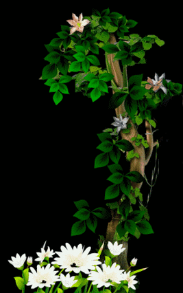 282_450竖版 竖屏gif 动态图 动图